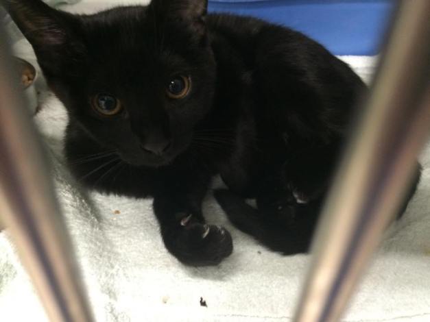 Lucky Too...the Second?!