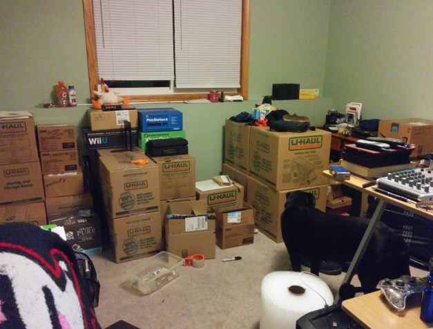 Loki confused by boxes