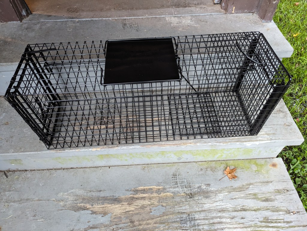 Humane live trap for feral cats. Powder coated. Black. Gravity, not spring-loaded. It's basically a long box-shaped cage with one side that can open completely and one side that can be set to swing shut when a cat walks on the trip plate.